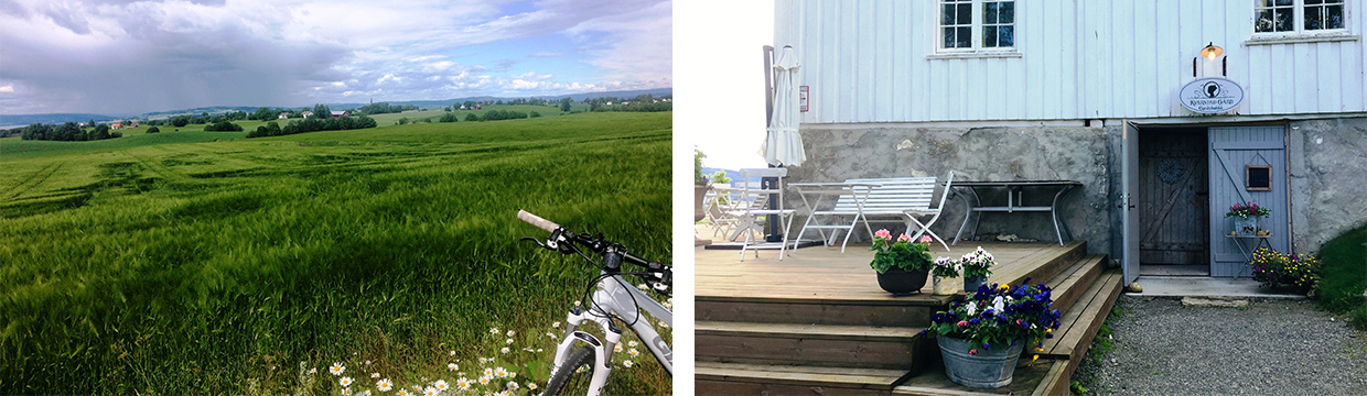 cycling trip and Kvarstad farm