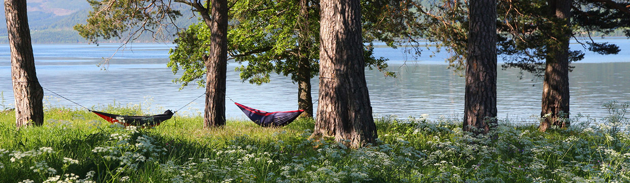 Hammocks by Mjøstråkk